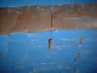 Tropical Hardwood